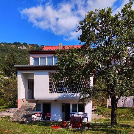 Guesthouse Mirkovic Plužine Exteriör bild